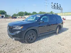 5FNYG1H62SB053851 2025 HONDA PILOT