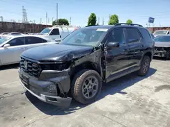 5FNYG1H62SB101798 2025 HONDA PILOT