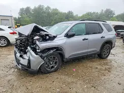 5FNYG1H62SB136938 2025 HONDA PILOT