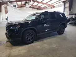 5FNYG1H63PB031249 2023 HONDA PILOT