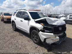 5FNYG1H63RB008475 2024 HONDA PILOT