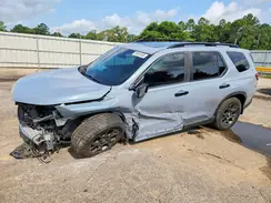 5FNYG1H63RB019573 2024 HONDA PILOT