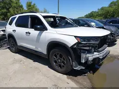 5FNYG1H63RB029066 2024 HONDA PILOT
