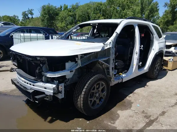 5FNYG1H63RB029066 2024 HONDA PILOT - Image 2