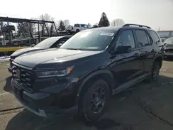 5FNYG1H63RB040262 2024 HONDA PILOT