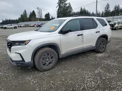 5FNYG1H64PB034788 2023 HONDA PILOT