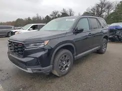 5FNYG1H64RB022059 2024 HONDA PILOT