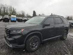 5FNYG1H64RB026113 2024 HONDA PILOT
