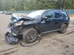 5FNYG1H64RB026581 2024 HONDA PILOT