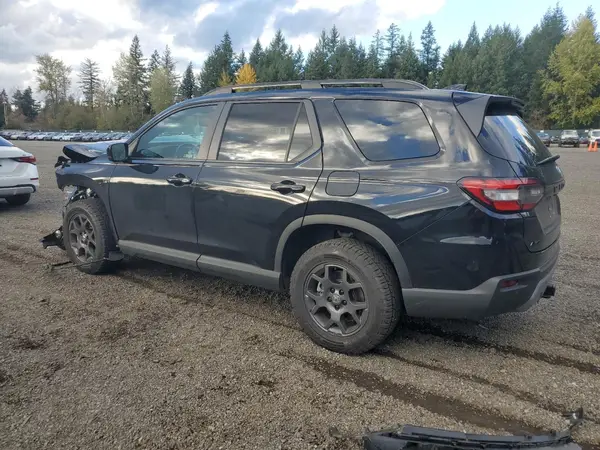 5FNYG1H64RB026581 2024 HONDA PILOT - Image 2