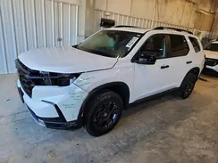 5FNYG1H64SB004070 2025 HONDA PILOT