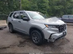 5FNYG1H65RB025925 2024 HONDA PILOT
