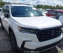 5FNYG1H65RB031935 2024 HONDA PILOT