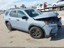 5FNYG1H65RB033247 2024 HONDA PILOT