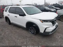 5FNYG1H65RB500814 2024 HONDA PILOT