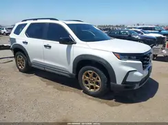 5FNYG1H66RB007904 2024 HONDA PILOT