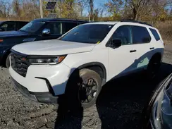5FNYG1H66RB008521 2024 HONDA PILOT