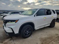 5FNYG1H66RB029045 2024 HONDA PILOT