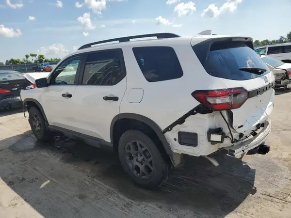 5FNYG1H66RB037579 2024 HONDA PILOT - Image 2