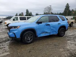 5FNYG1H66RB049229 2024 HONDA PILOT