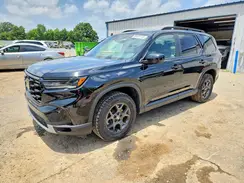 5FNYG1H66SB002241 2025 HONDA PILOT