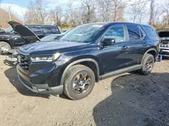 5FNYG1H66SB012798 2025 HONDA PILOT