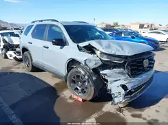 5FNYG1H66SB040228 2025 HONDA PILOT