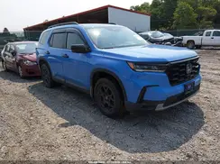 5FNYG1H66SB150552 2025 HONDA PILOT