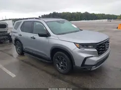5FNYG1H67RB005949 2024 HONDA PILOT