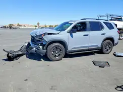 5FNYG1H67RB009659 2024 HONDA PILOT