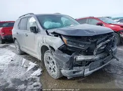 5FNYG1H67RB502080 2024 HONDA PILOT