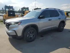 5FNYG1H67SB051013 2025 HONDA PILOT