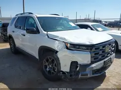 5FNYG1H67TB024699 2026 HONDA PILOT