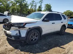 5FNYG1H68PB048872 2023 HONDA PILOT