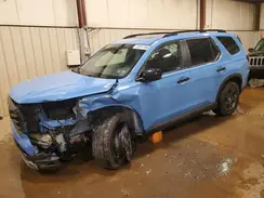 5FNYG1H68RB003093 2024 HONDA PILOT