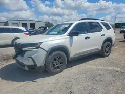 5FNYG1H68RB009136 2024 HONDA PILOT
