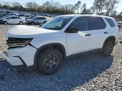 5FNYG1H68RB016331 2024 HONDA PILOT