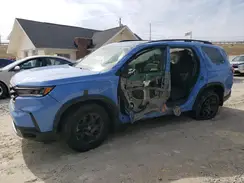 5FNYG1H68RB023909 2024 HONDA PILOT