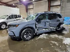 5FNYG1H68RB038328 2024 HONDA PILOT