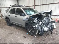 5FNYG1H69PB053448 2023 HONDA PILOT