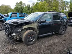 5FNYG1H69PB058097 2023 HONDA PILOT