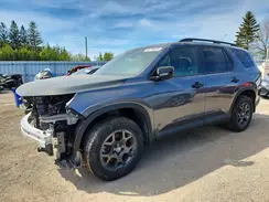 5FNYG1H69PB501526 2023 HONDA PILOT