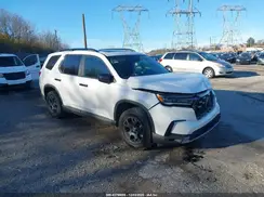 5FNYG1H69RB029265 2024 HONDA PILOT