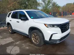 5FNYG1H69RB031629 2024 HONDA PILOT
