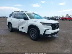 5FNYG1H69RB501531 2024 HONDA PILOT
