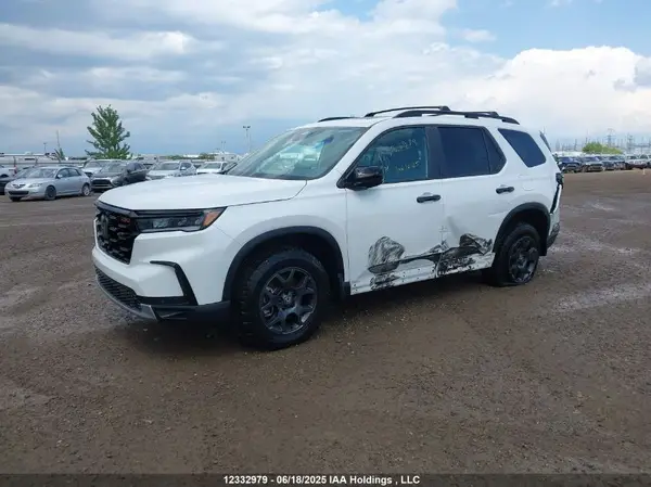 5FNYG1H69RB501531 2024 HONDA PILOT - Image 2