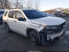 5FNYG1H6XPB016876 2023 HONDA PILOT