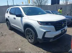 5FNYG1H6XPB501244 2023 HONDA PILOT