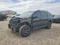 5FNYG1H6XSB067786 2025 HONDA PILOT