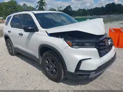 5FNYG1H6XSB175647 2025 HONDA PILOT